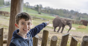 Exciting Meet and Greet with TV Characters at West Midlands Safari Park