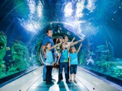 Make Waves with Family Savings at SEA LIFE Manchester