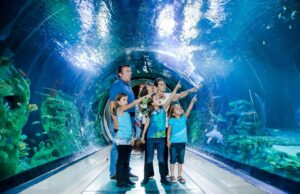 Make Waves with Family Savings at SEA LIFE Manchester