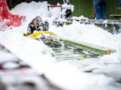 Foam Days at Landmark Forest Adventure Park: A Bubble-Filled Family Extravaganza