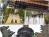 Rameses Revenge vs Croc Drop: Which Chessington Thrill Ride Wins?