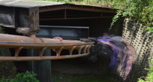 Why Vampire Is Still a Must-Do Ride at Chessington