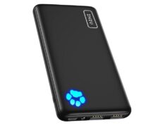 Never Run Out of Juice on Your Theme-Park Adventure: Why the INIU Slim Power Bank is a Must-Have