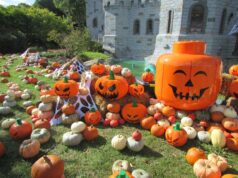 LEGOLAND Windsor Debuts UK’s First LEGO Pumpkin Patch for “Brick or Treat” Halloween Event