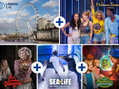 Black Friday Bonanza: Explore 5 London Attractions for Just £49