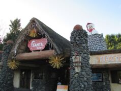 10 Festive Pictures of Santa Safari at West Midlands Safari Park