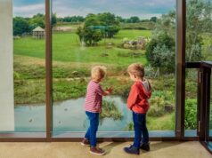 Chessington February Half Term Breaks from £32pp