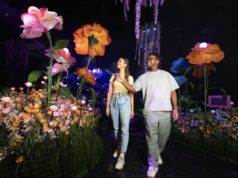 Merlin Entertainments Unveils Immersive Experience WONDRA in Chicago