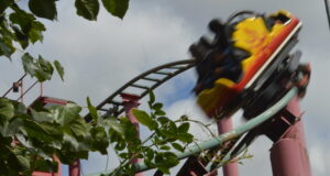 Calling All Passholders – Merlin Holiday Club Exclusive Dragons Fury at Chessington