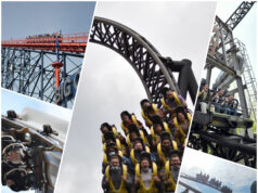 What Your Favourite Roller Coaster Says About You