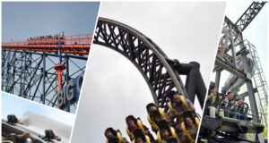 What Your Favourite Roller Coaster Says About You