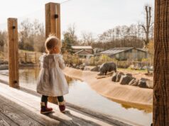 Kids Stay Free at Safari Lodges: New Midweek Family Escape Offer