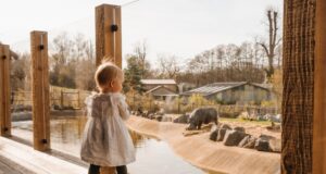 Kids Stay Free at Safari Lodges: New Midweek Family Escape Offer