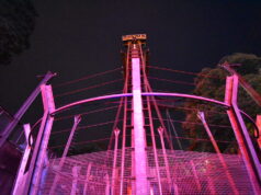 Alton After Dark Opening Weekend Weather: What Guests Should Expect Oblivion at Alton Towers