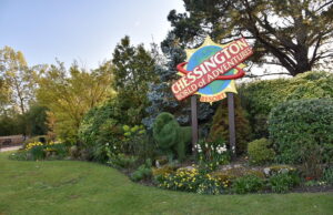 A Grandparents’ Guide to Visiting Chessington World of Adventures