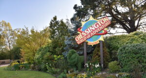 Chessington Issues Warning as Park Reaches Full Capacity Today Chessington