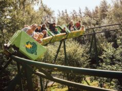 North Wales Theme Park Attraction Put Up for Sale with £1.25m Price Tag Greenwood