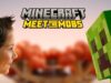 Minecraft: Meet the Mobs at Alton Towers Boy gazes at a green Creeper from Minecraft with the 'Minecraft Meet the Mobs' logo above.