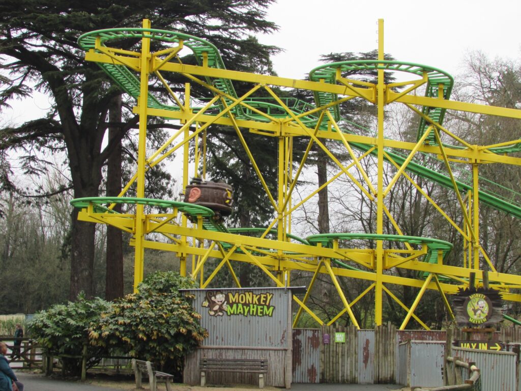 Monkey Mayhem at West Midlands Safari Park