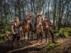 Viking Raiders Storms Warwick Castle in 2026: A Bold New Era of Live Entertainment Four armored riders on horseback in a sunlit forest, wearing fur cloaks and leather armor, ready for battle.