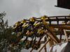 Dino Dogs at Paultons Park: Menu, Prices and What to Expect Lost Kingdom at Paulton's Park