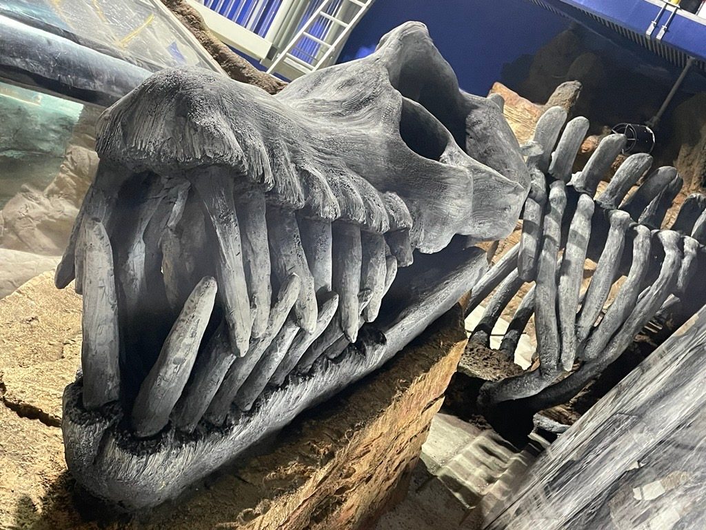 Jurassic Underwater World Coming to SEA LIFE Blackpool