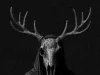 Book Blackout: Ritual Now – London Dungeon’s Limited-Time Horror Event Dark hooded figure wearing a deer skull mask with large antlers against a black background.