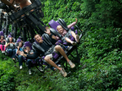 Theme Park Dad Stereotypes: Which One Is Your Dad? People on a suspended roller-coaster-like ride in a lush forest, arms raised and smiling as they speed by on purple seats with safety harnesses.