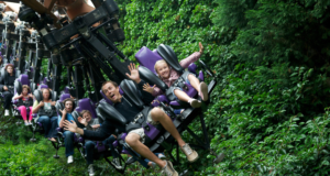 Theme Park Dad Stereotypes: Which One Is Your Dad? People on a suspended roller-coaster-like ride in a lush forest, arms raised and smiling as they speed by on purple seats with safety harnesses.