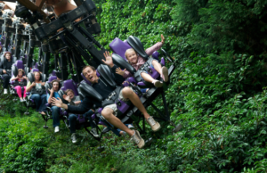 Theme Park Dad Stereotypes: Which One Is Your Dad? People on a suspended roller-coaster-like ride in a lush forest, arms raised and smiling as they speed by on purple seats with safety harnesses.