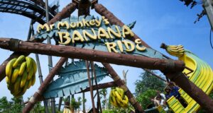 Thorpe Park Visitor Guide for Children Under 1.2m Banana Ride at Thorpe Park