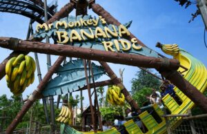 Thorpe Park Visitor Guide for Children Under 1.2m Banana Ride at Thorpe Park