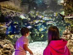Midweek Madness at SEA LIFE – Tickets From Just £13 This Summer! Two children stand at an underwater viewing tunnel, watching colorful fish swim among rocks in a large aquarium.