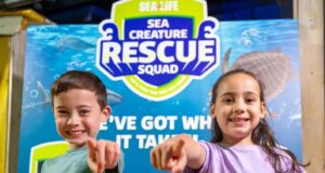 SEA LIFE Scarborough’s Sea Creature Rescue Squad Returns for Summer 2026 SEA LIFE Scarborough