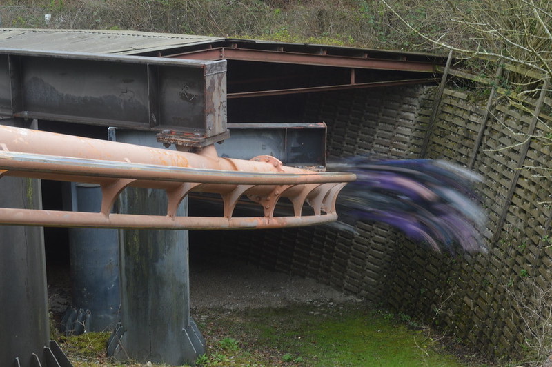 Vampire at Chessington