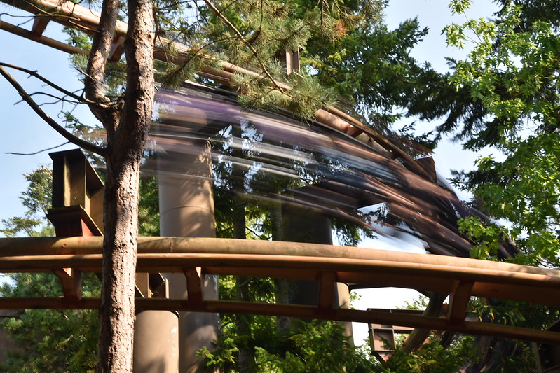 Vampire at Chessington