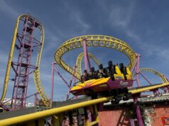 Adventure Island Has 5 Roller Coasters — But Can You Name Them All?