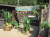 The Watering Hole at Alton Towers: Menu & Prices The Watering Hole at Alton Towers: Menu & Prices