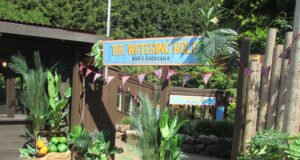 The Watering Hole at Alton Towers: Menu & Prices The Watering Hole at Alton Towers: Menu & Prices