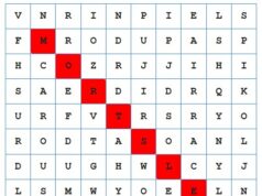 Play our Theme Park Word Search 9x9 letter grid with blue borders; red squares mark a diagonal path through the letters.