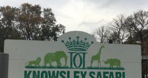 Knowsley Safari Tickets From £16.50 – Save on Your Next Family Day Out
