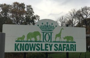 Knowsley Safari Tickets From £16.50 – Save on Your Next Family Day Out
