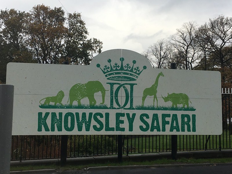 Knowsley Safari