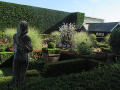 Paultons Park to Host Special Gardens Open Evening Paultons Gardens