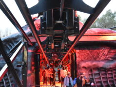 How Do Rollercoaster Brakes Work? The Science Behind Stopping a Rollercoaster Nemesis Reborn Brake System