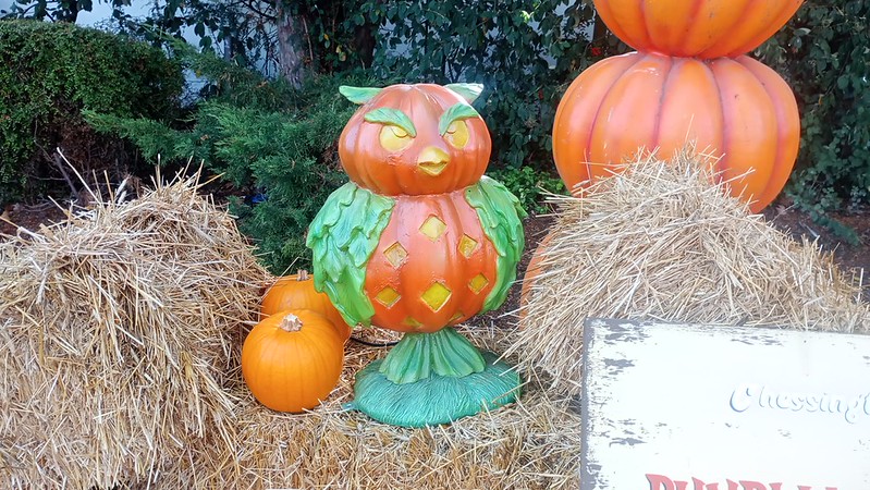 Inside Chessington’s Howl’o’ween 2026