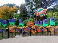 What’s Happening at UK Theme Parks This Week (Week of 19 October 2026)
