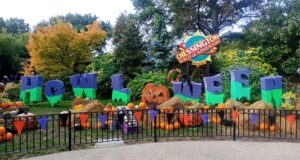 What’s Happening at UK Theme Parks This Week (Week of 19 October 2026)