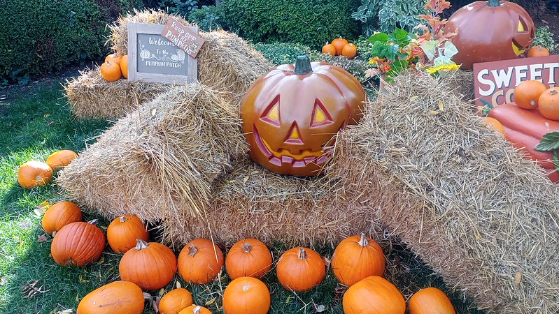 Inside Chessington’s Howl’o’ween 2026