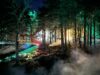 Ancient Forest Twi-LIGHTS Returns to Landmark Forest Adventure Park for Winter 2026